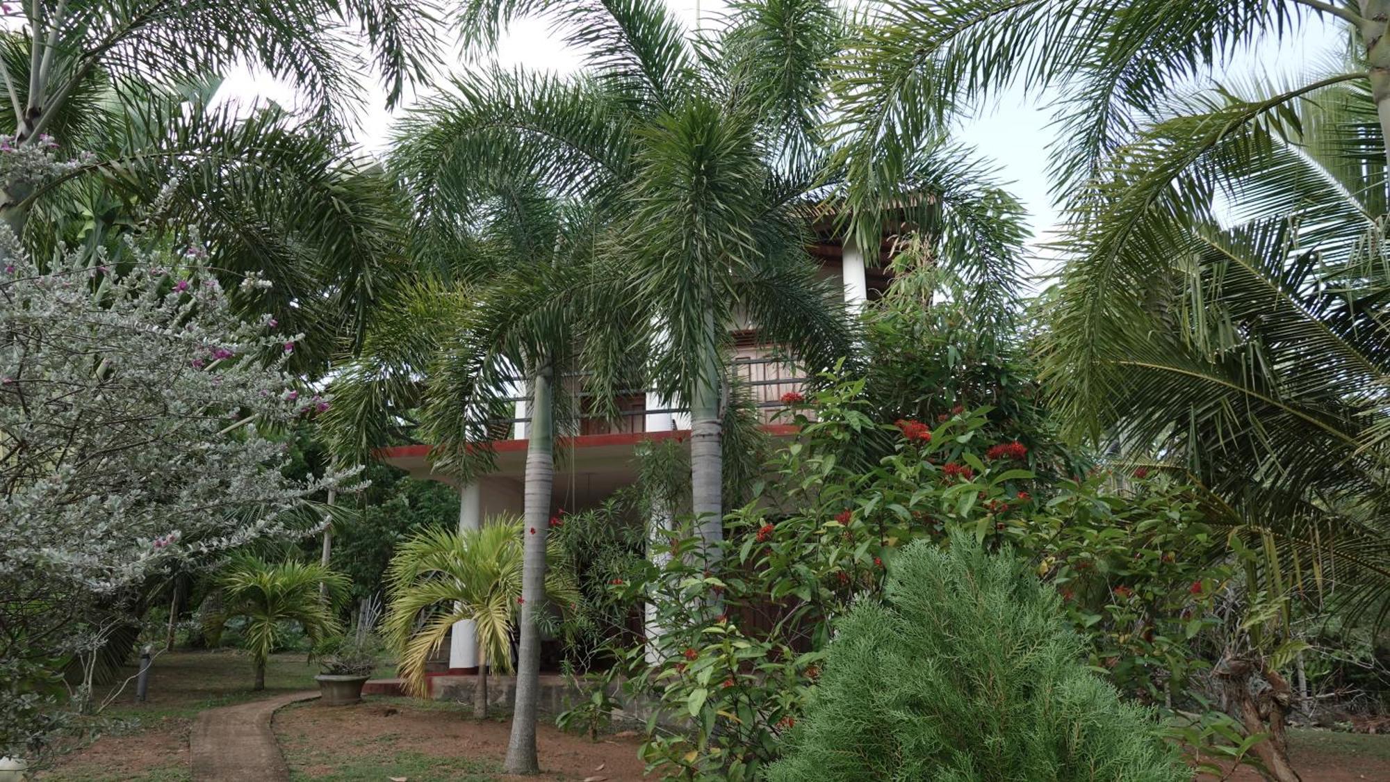 Salt Lake Cabanas&Restaurant Tangalle Exterior foto