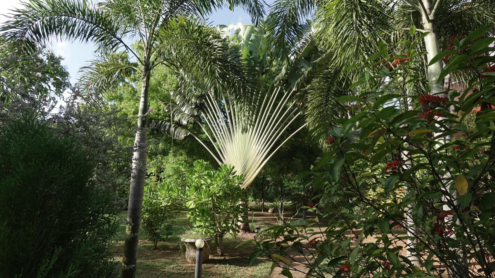 Salt Lake Cabanas&Restaurant Tangalle Exterior foto