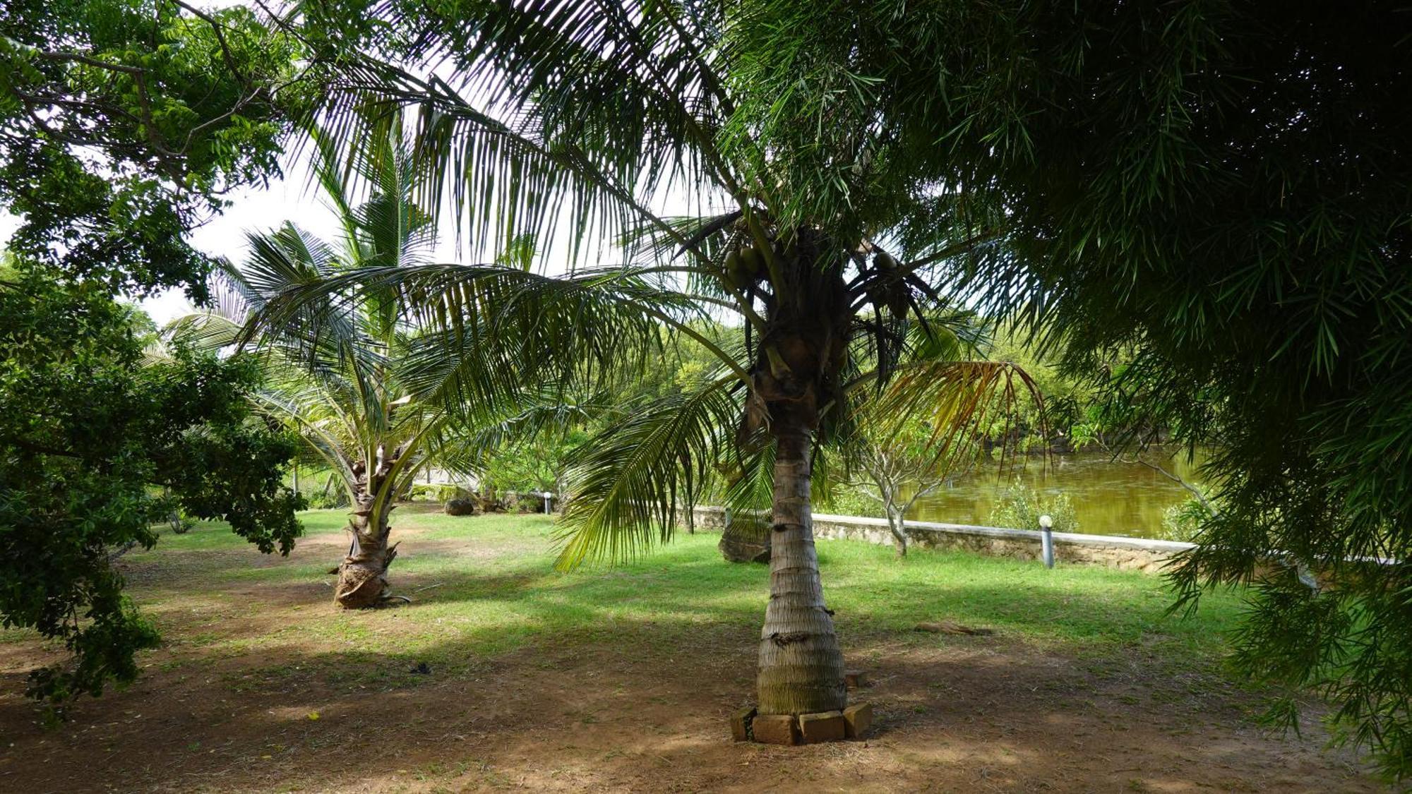 Salt Lake Cabanas&Restaurant Tangalle Exterior foto